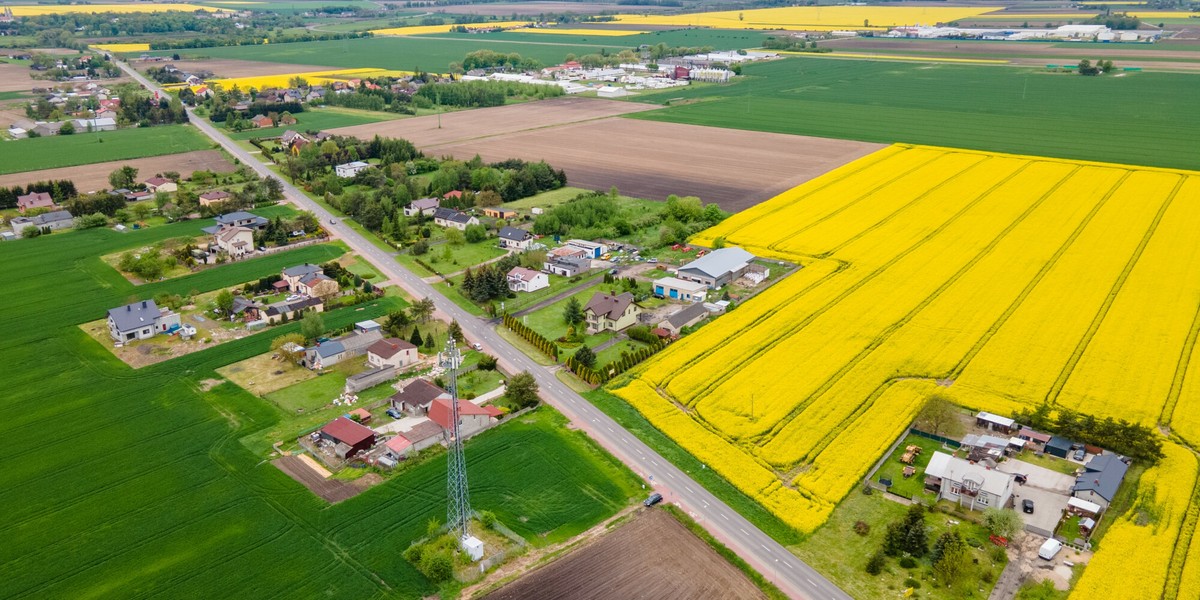 Najgłośniejsza akcja wykupywania nieruchomości w Polsce związana jest z budową Centralnego Portu Komunikacyjnego w okolicach Baranowa