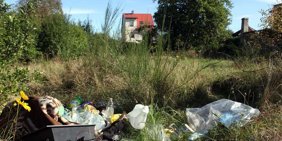 Urzędnicy z Gdyni nie posprzątali nawet w święto