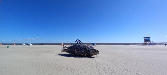 Ryba na plaży w Pärnu