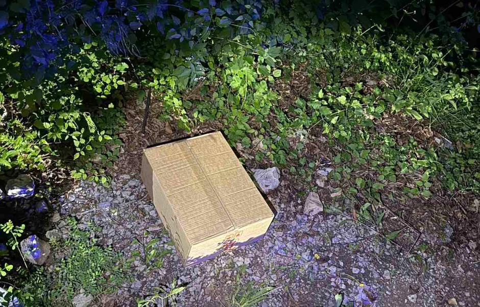 Zaplenjena roba na granici 