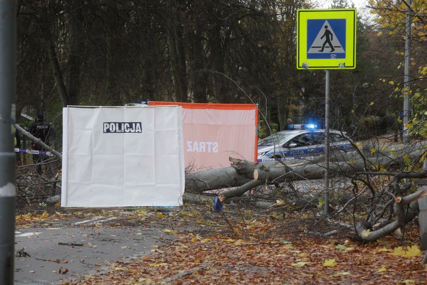 Tragiczny bilans wichury nad Polską