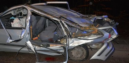 Tragedia na Kaszubach. Dziecko ginie w aucie przygniecionym drzewem