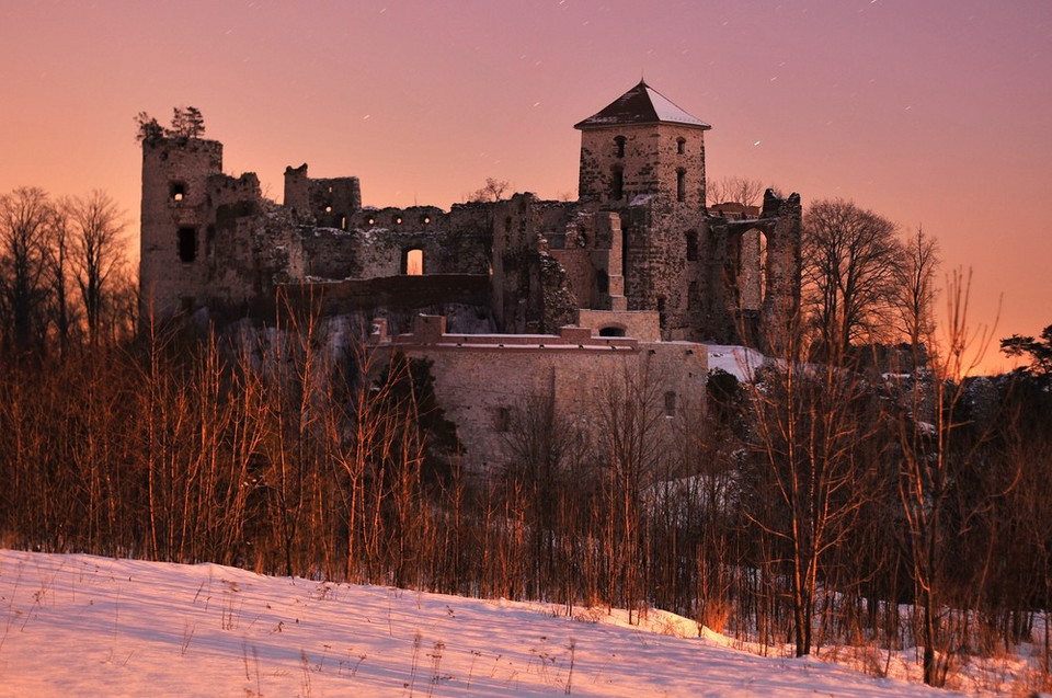 Tenczyn, ruiny zamku