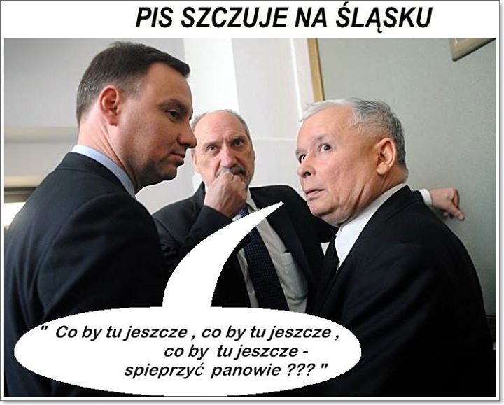 mem / Nie lubię PiSu