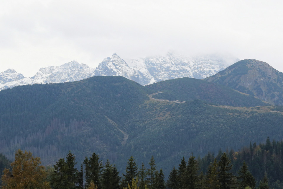 Pierwszy śnieg