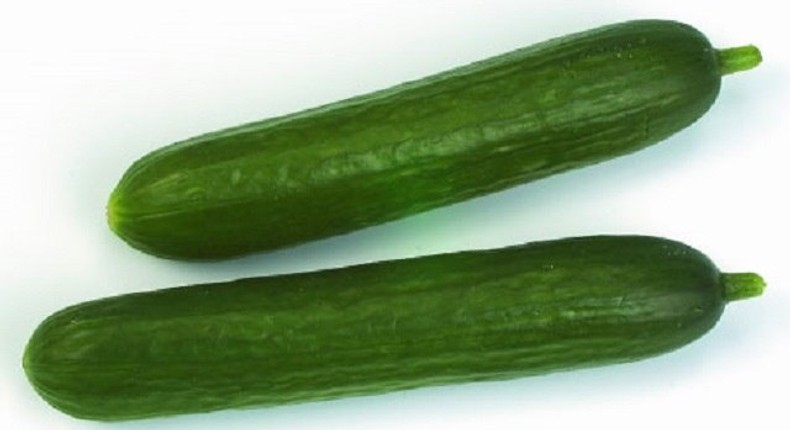 Cucumber sex toy