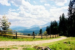 Wybierz się w podróż po podkarpackich smakołykach