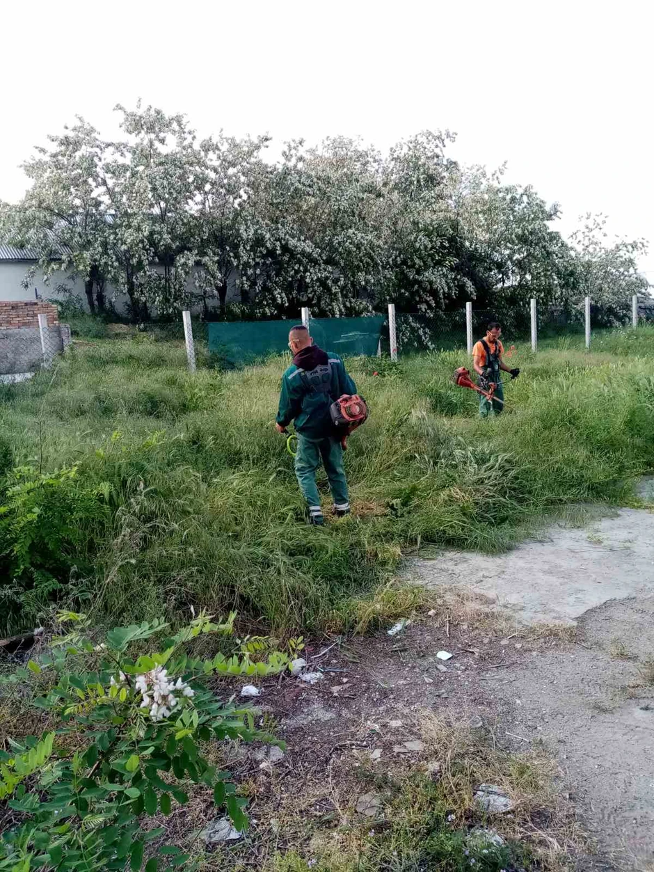 Uređenje zrenjaninske Peskare