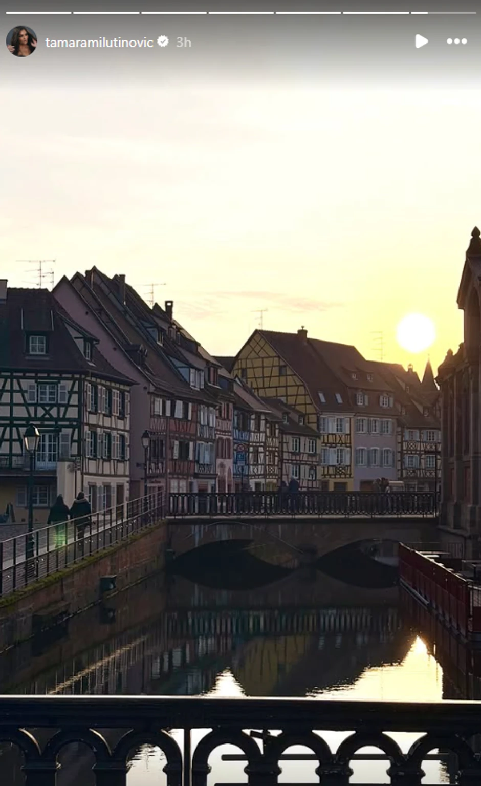 Tamara Milutinović objava