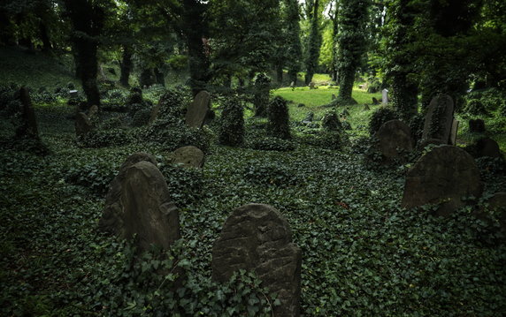 Cmentarz Żydowski w Cieszynie