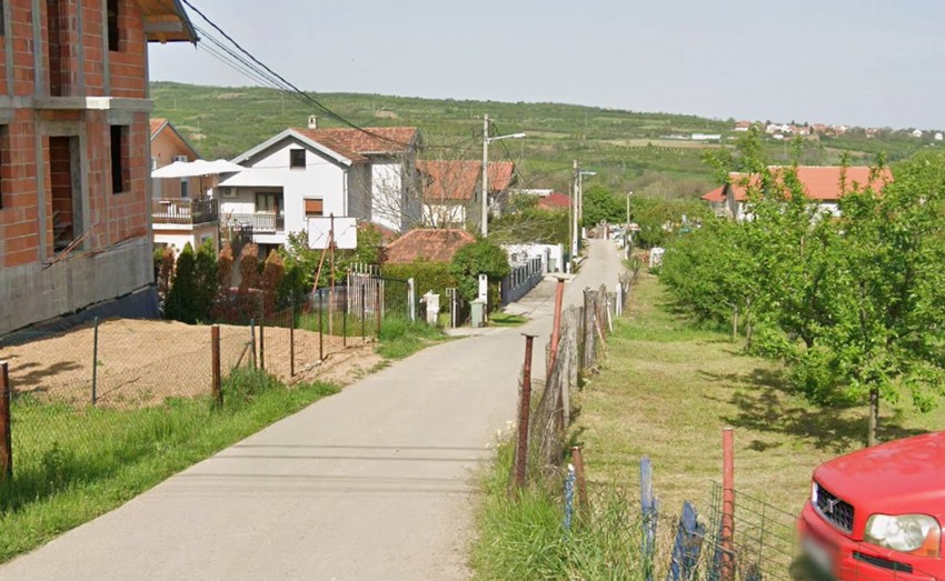 Mesto gde je došlo do ujeda osa