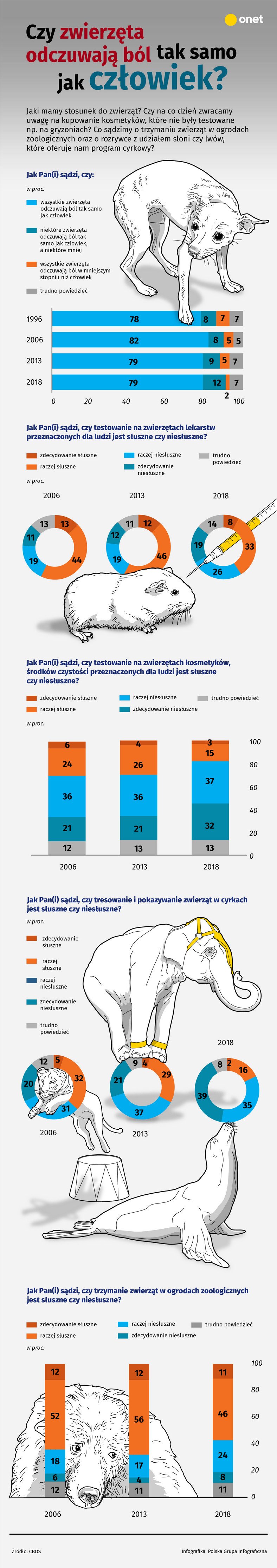 Jak Polacy traktują zwierzęta [INFOGRAFIKA]