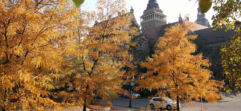 Zjawisko La Nina ukształtuje jesienną pogodę w Polsce. Wyjaśniamy, na czym polega