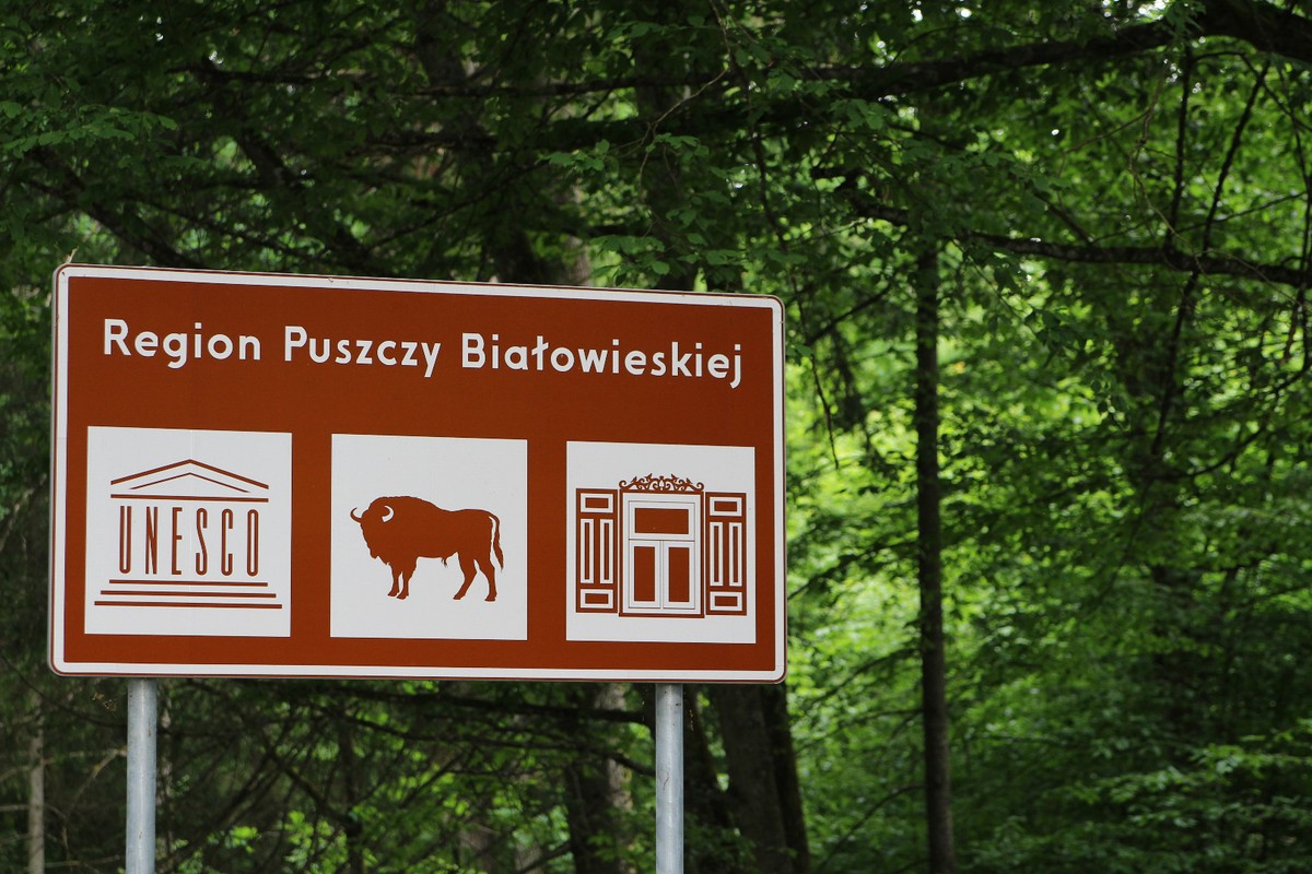 Puszcza Białowieska