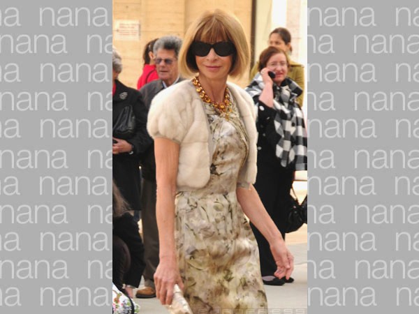 25791_anna-wintour-g-d00016ABC266f9fd4bfc1