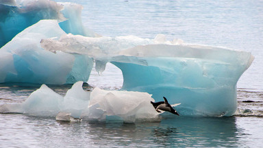 Zagrożenie klimatyczne. Topnieje także wschodnia Antarktyda?