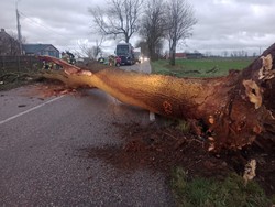 Połamane drzewa i kominy, brak prądu. Skutki nocnych nawałnic