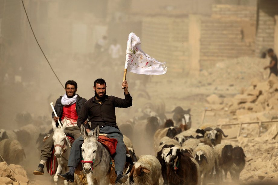 A man who just fled Bazwaia village carries a white flag as he arrives at a special forces checkpoint, east of Mosul