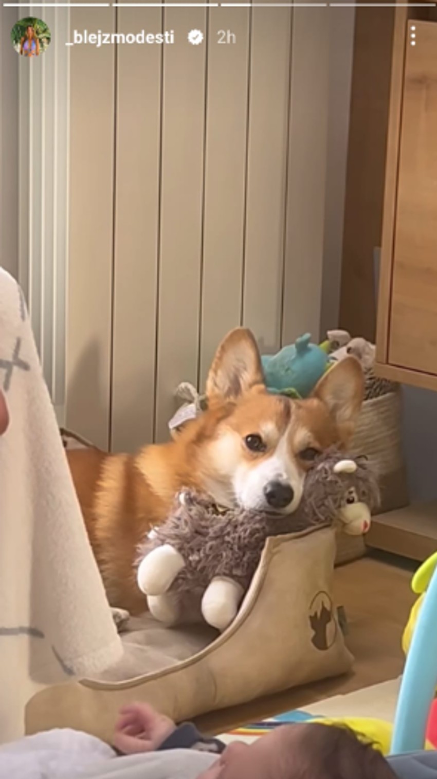 Objava Anđele Jovanović