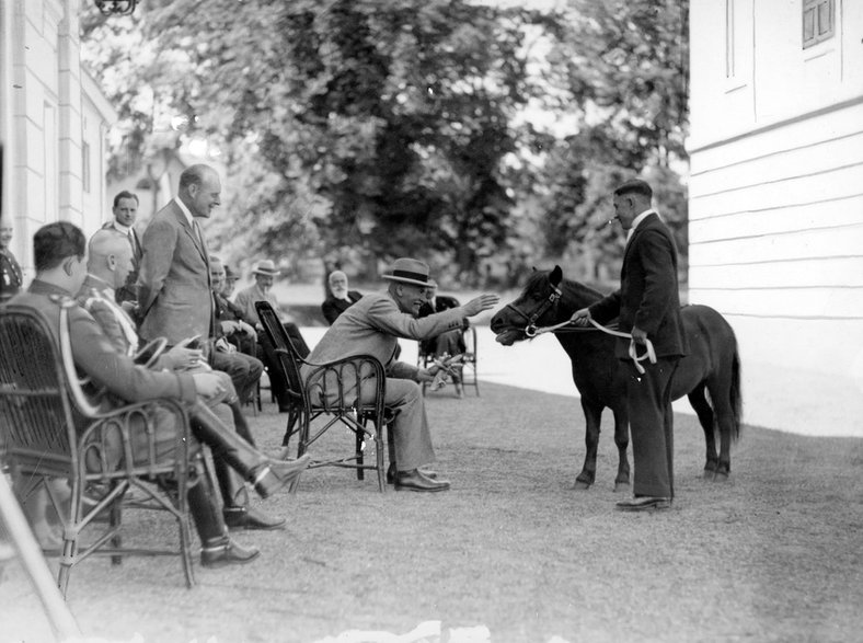 Prezydent RP Ignacy Mościcki ogląda konie w majątku ordynata Alfreda Potockiego. 1929 r. Źródło: Narodowe Archiwum Cyfrowe.