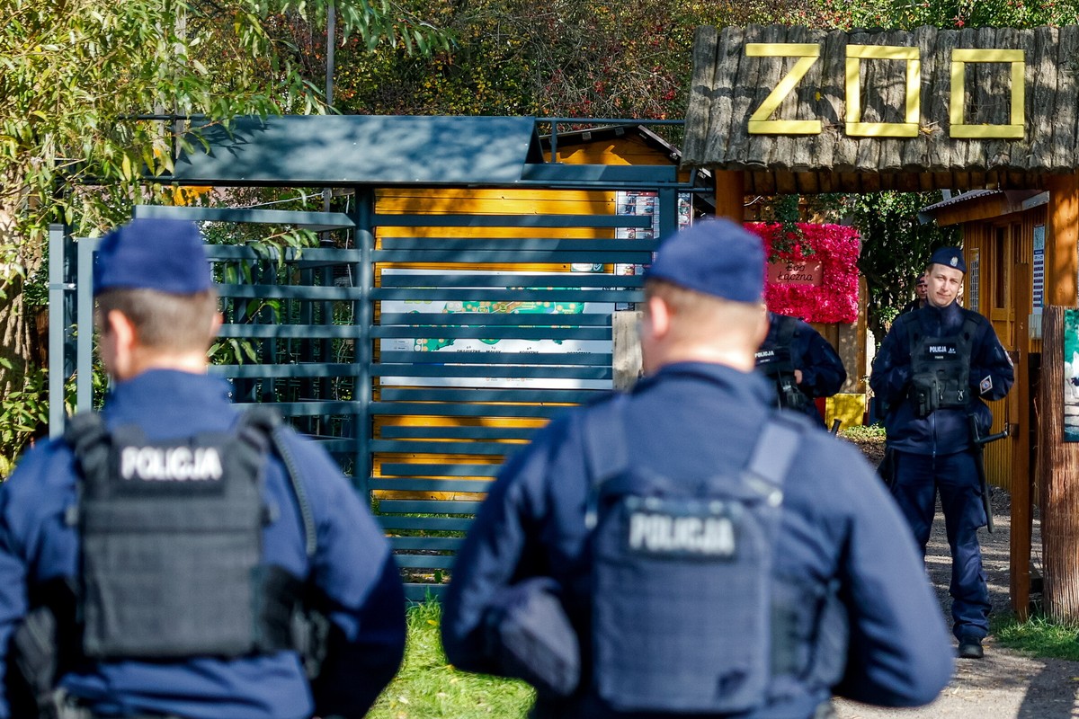 Prosecutor denies reports of animal slaughter at Zoo Łączna