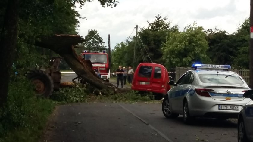 Zgierz. Topola przewróciła się na samochód. Nie żyje kierowca