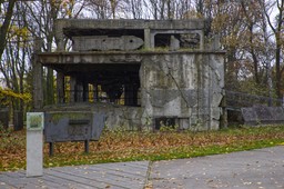 archeolodzy wracają na westerplatte. co skrywają ruiny północnych koszar?