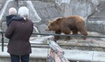 Czy w warszawskim ZOO jest bezpiecznie? 