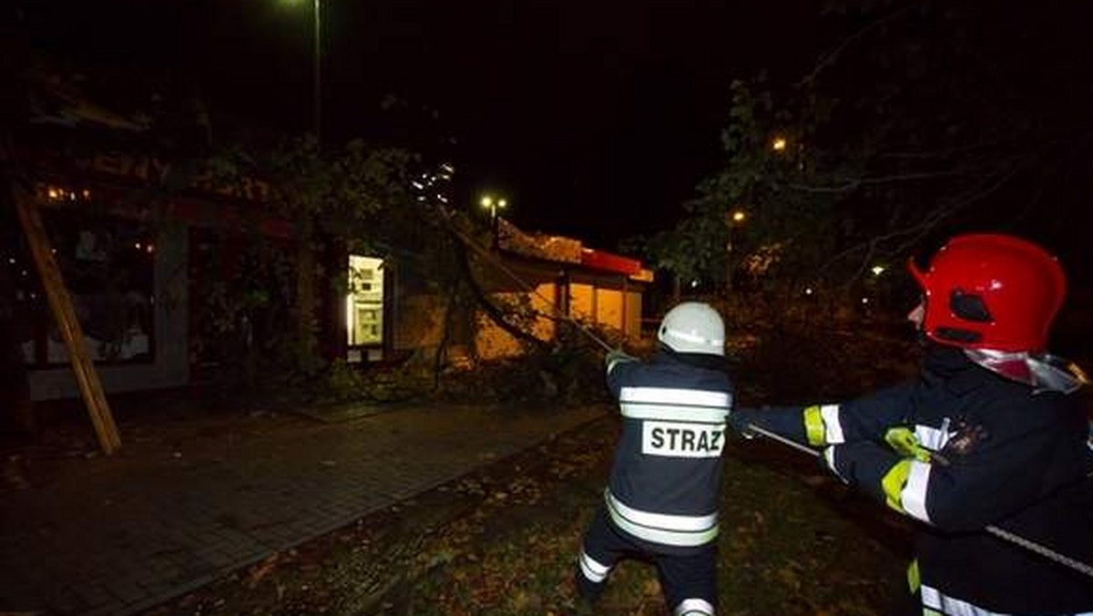 "Głos Koszaliński": Zgłoszenia do strażaków napływały od wieczora przez całą noc. Najwięcej w powiecie sławieńskim i w Koszalinie. - Zaczęło się o 20.20 i skończyło o 1 w nocy - mówi strażak z Miejskiego Stanowiska Kierowania w Koszalinie.