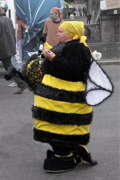 zawód psczoła
