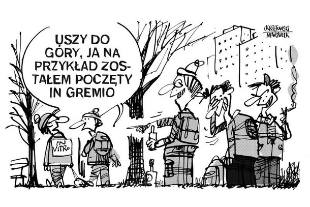 In Gremio in vitro krzętowski