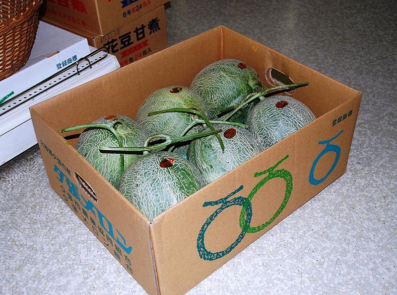 Melony Yubari - najdroższa odmiana świata, fot. Captain76 źródło Wikimedia Commons