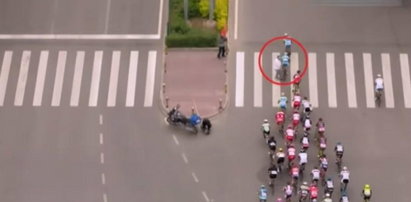 Kibic wszedł pod pędzący peleton WIDEO