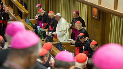 Synod 2014, biskupi, papież,  Franiciszek