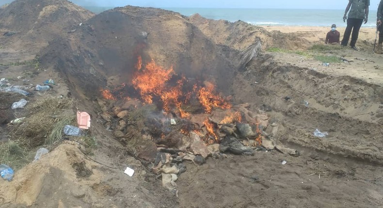 Burning of intercepted animal skin by customs officials in Seme (NAN)