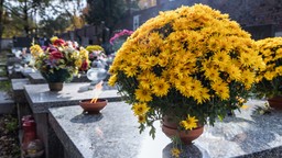 tylko rada gminy lub miasta może wydać regulamin cmentarza