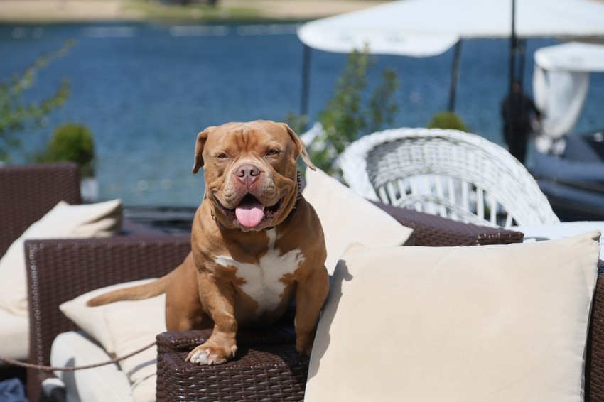 Ada Ciganlija, lepo vreme