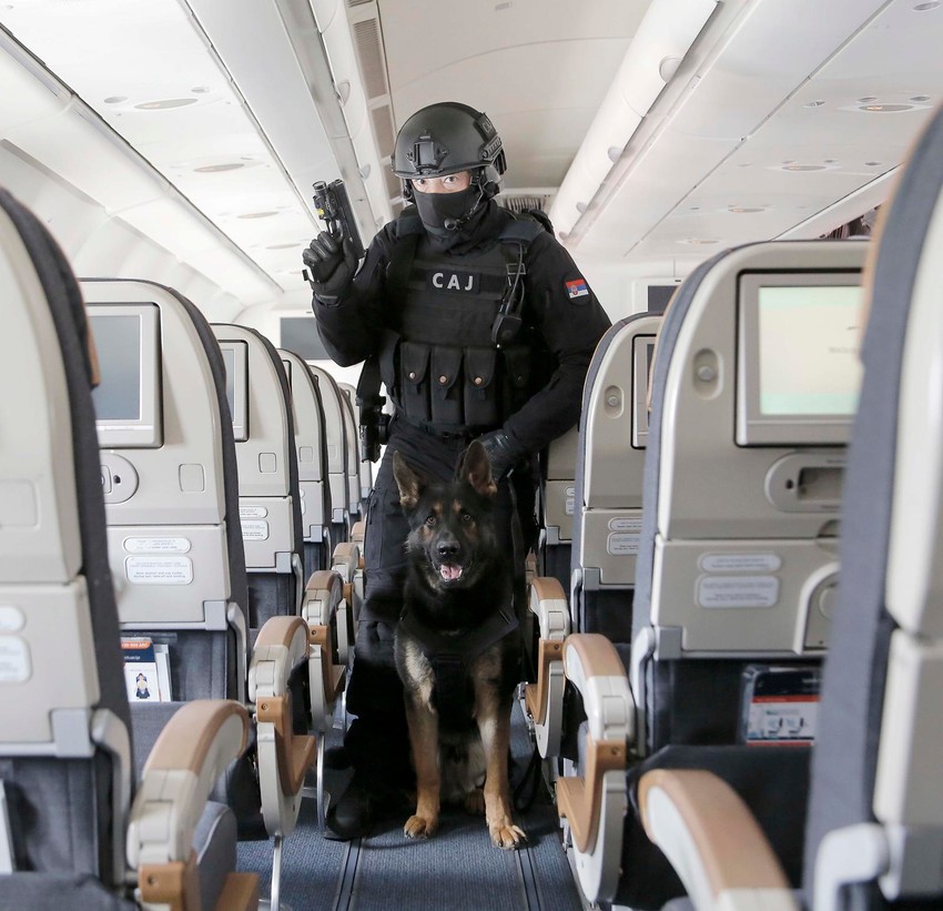 Pas sa vodičem u avionu 