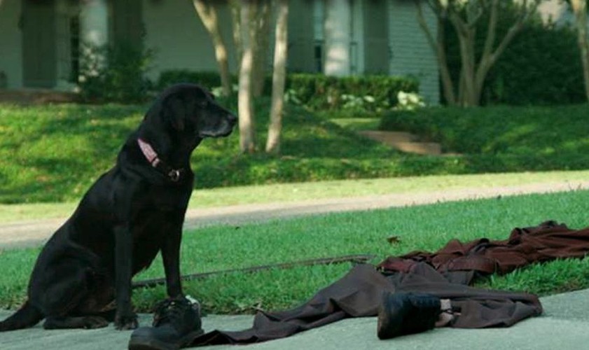 'Left Behind' całkiem jak 'Pozostawieni'?