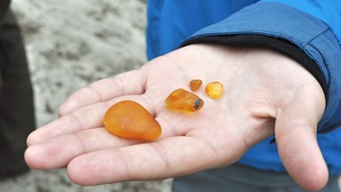 "aż trudno uwierzyć". bałtyckie plaże pełne bursztynu. spacerowicze zb