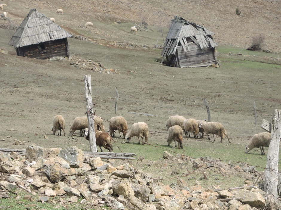 Imanje porodice Udovičić iz Marinkove kose