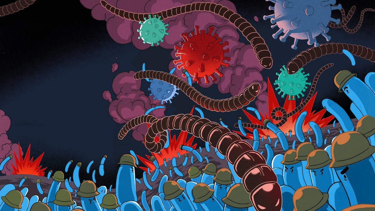Gry wojenne bakterii