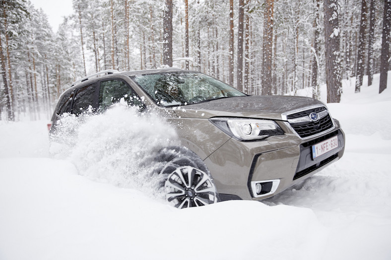 Subaru Snow Drive 2016