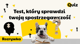 Rozrywka Test, który sprawdzi twoją spostrzegawczość