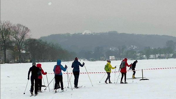 Zarząd Zieleni Miejskiej wytyczył na Błoniach trasy dla narciarstwa biegowego