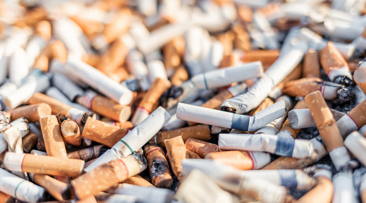 Évente mintegy 6000 milliárdvcigarettát szívnak el az emberek világszerte, ez közel 750000 tonna csikk / Kép: Getty Images