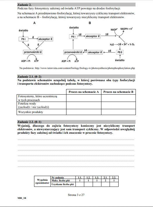 Matura 2019 Biologia Rozszerzona Arkusze I Odpowiedzi Wiadomosci