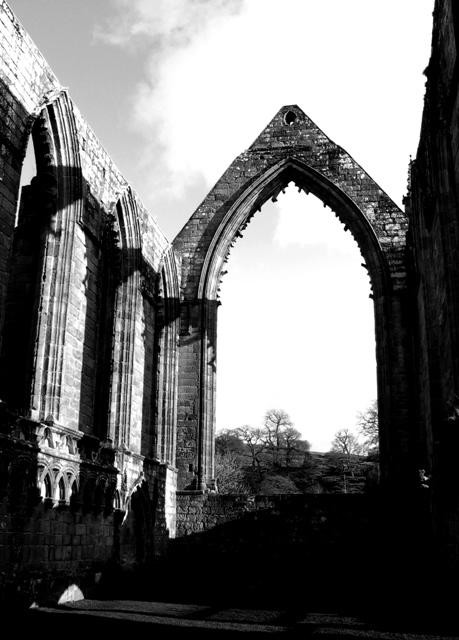 Galeria Wielka Brytania - Bolton Abbey, obrazek 8