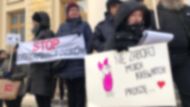 Protest w obronie dzików w Lublinie. "Sprzeciwiamy się planowanej rzezi"