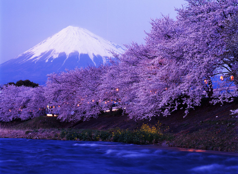 Japonia